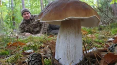 Hřib smrkový v lese s houbařem v pozadí, lesní sběr hub, podzimní příroda