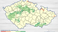 Mapa ČR s hustotou cyklostezek, zvýrazněné zelené oblasti s nejvíce trasami